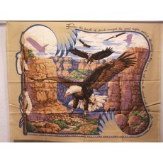 Eagles in Flight